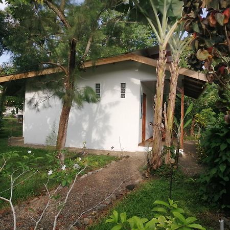 Cabinas Los Tucanes Cahuita Extérieur photo