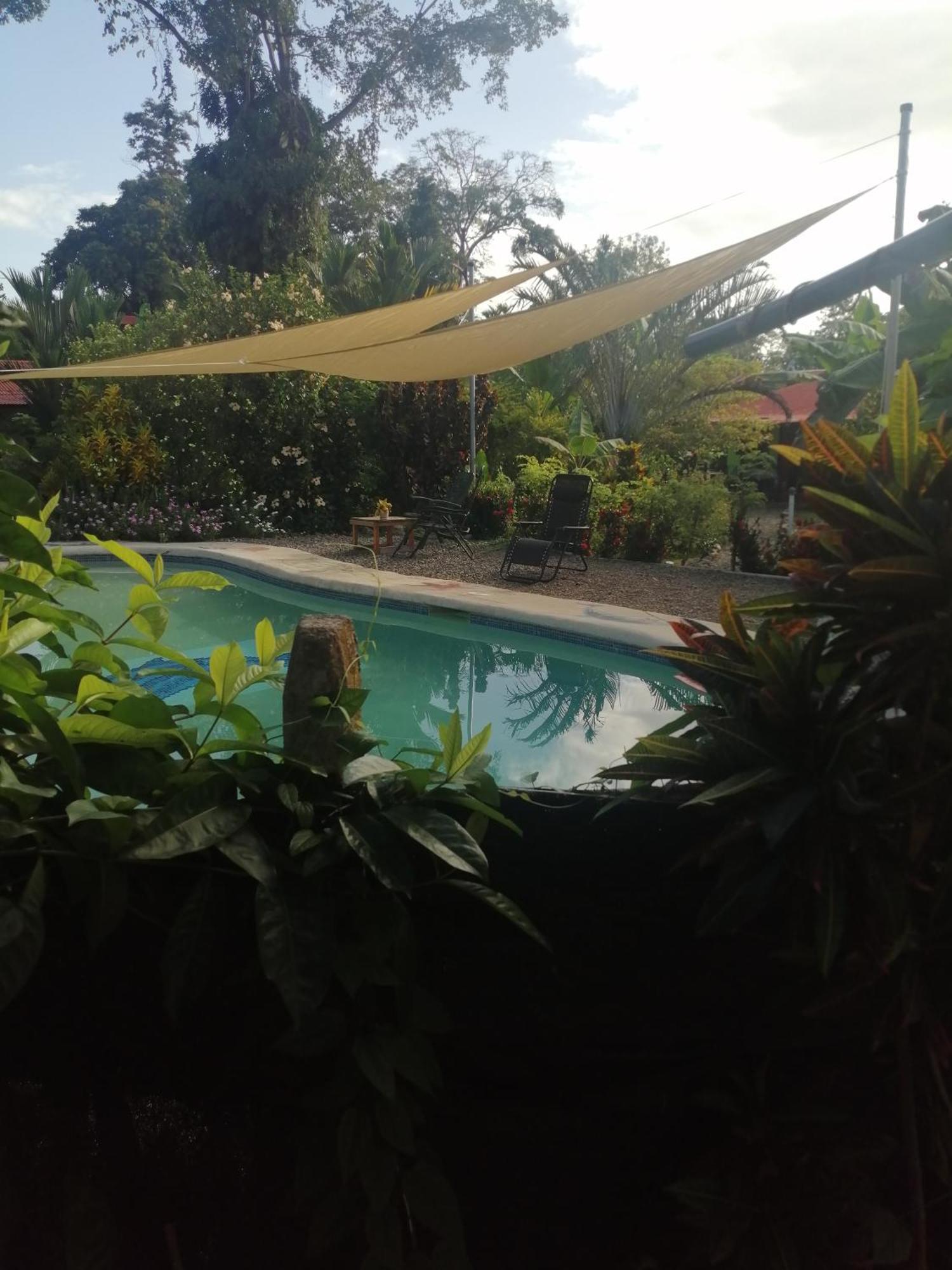 Cabinas Los Tucanes Cahuita Chambre photo