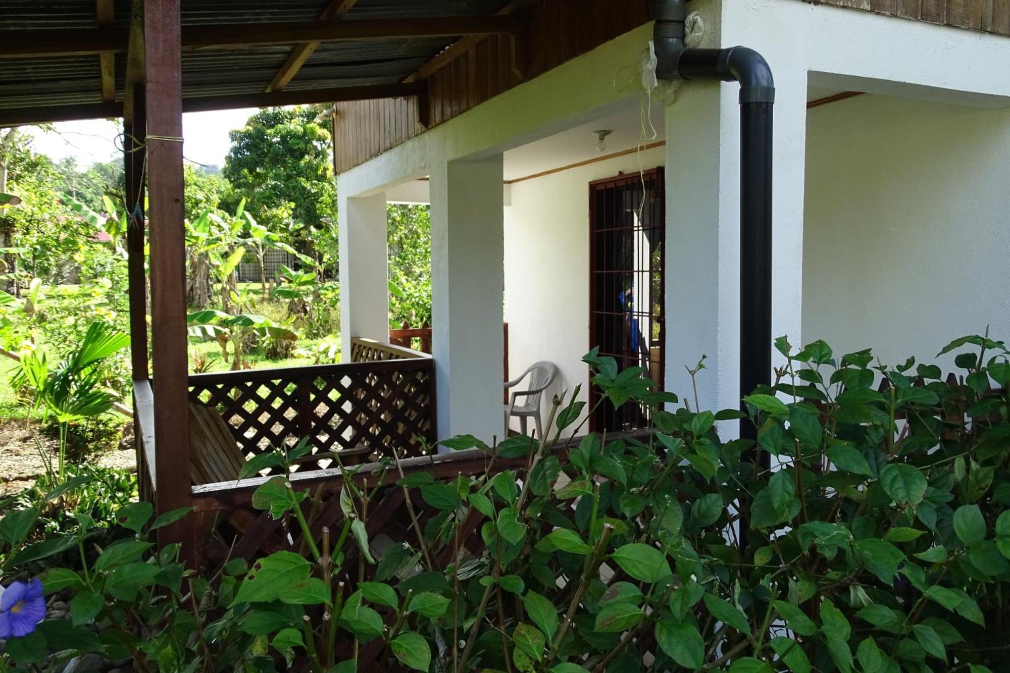 Cabinas Los Tucanes Cahuita Extérieur photo
