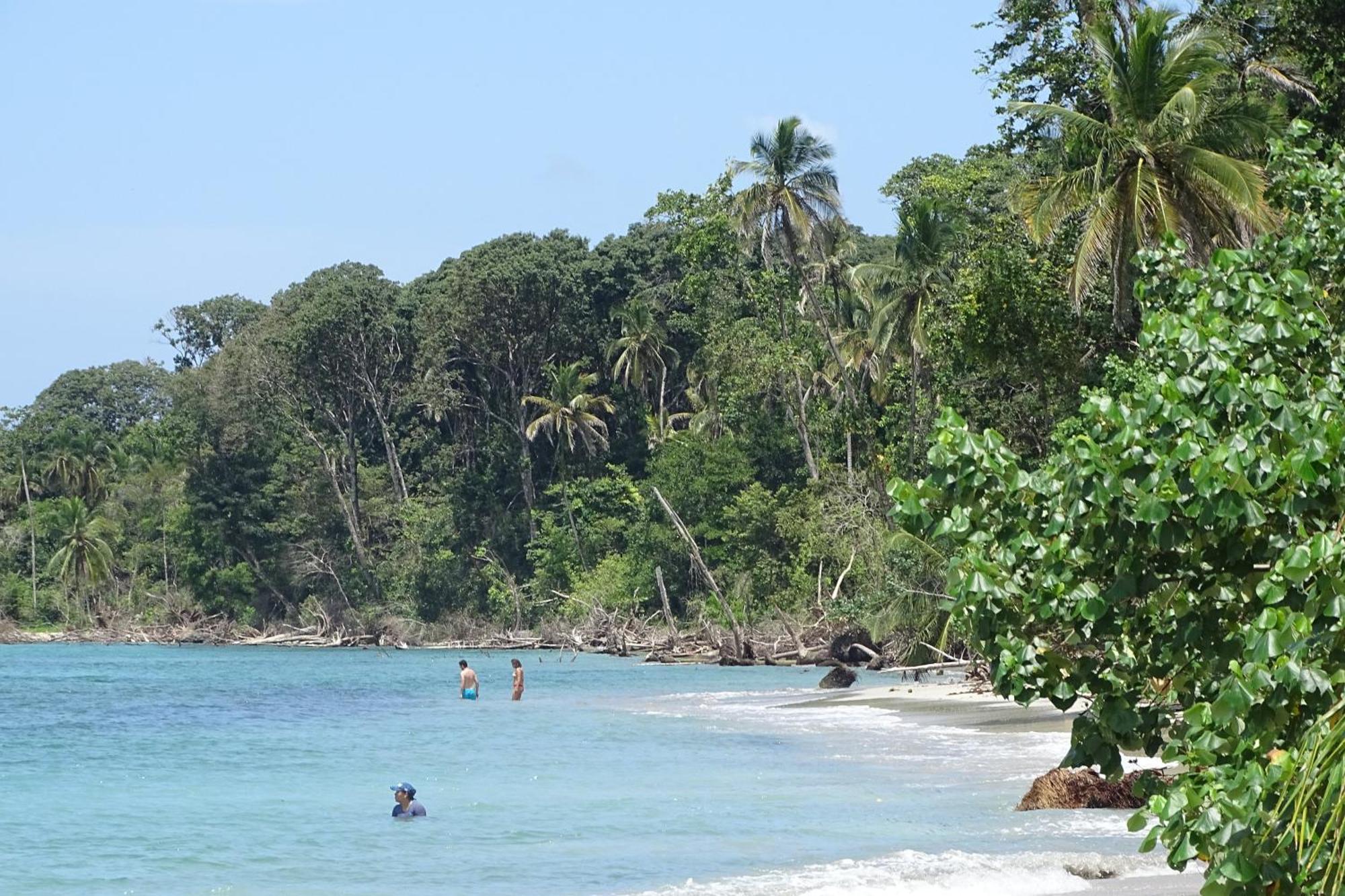 Cabinas Los Tucanes Cahuita Extérieur photo